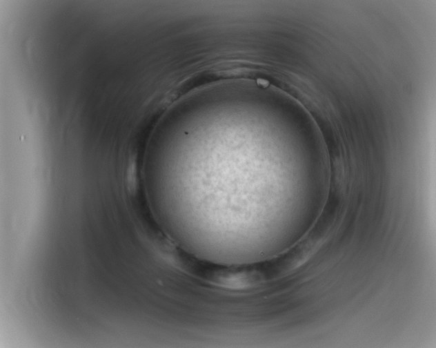 X0000115540267200911131550