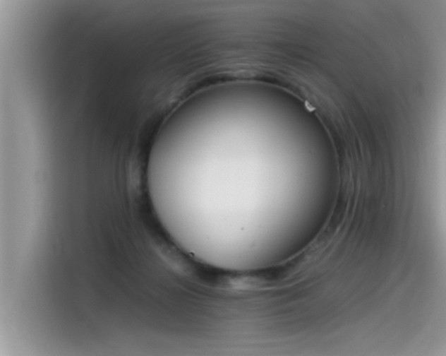 X0000115540268200911131550