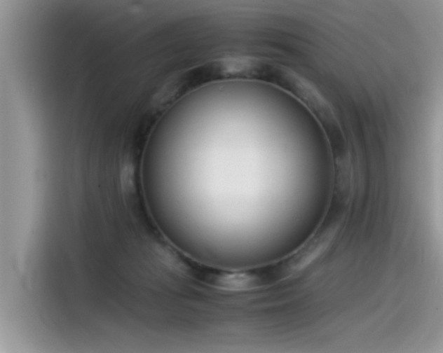 X0000115540269200911131550