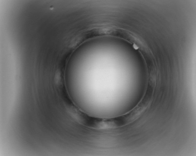 X0000115540270200911131550