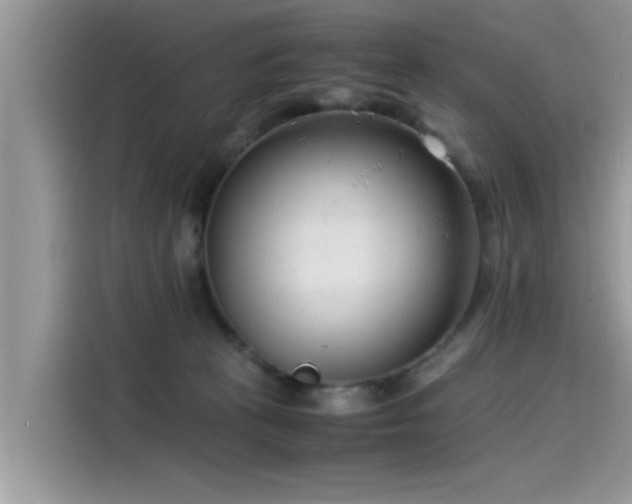 X0000115540273200911131550