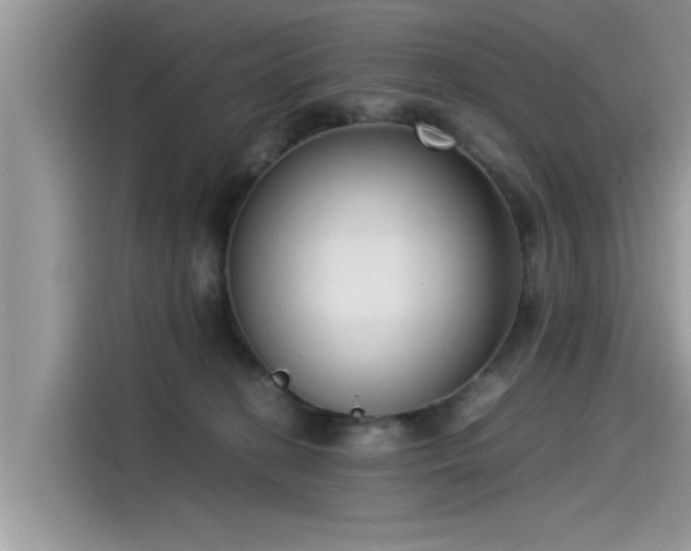 X0000115540274200911131550