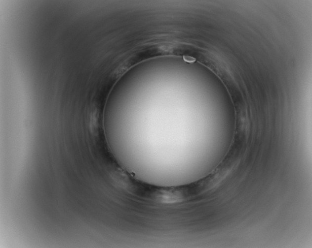 X0000115540275200911131550