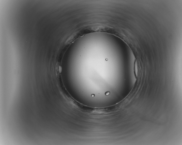 X0000115540280200911131550