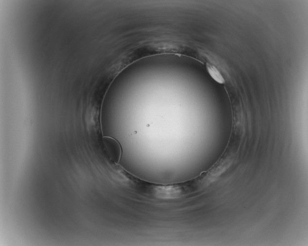 X0000115540281200911131550