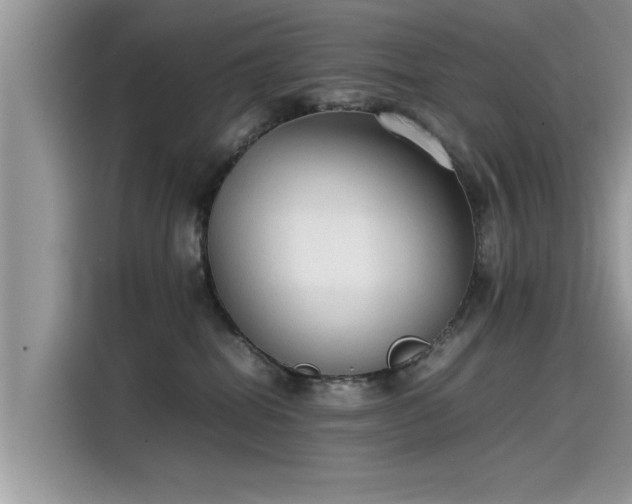 X0000115540282200911131550