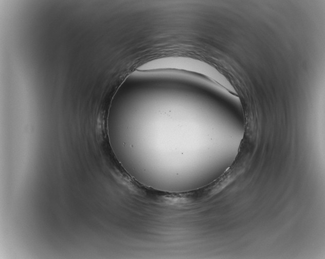 X0000115540284200911131550