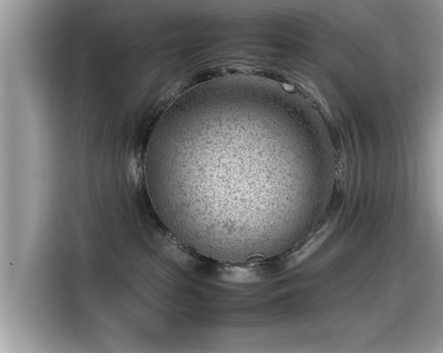 X0000115540285200911131550