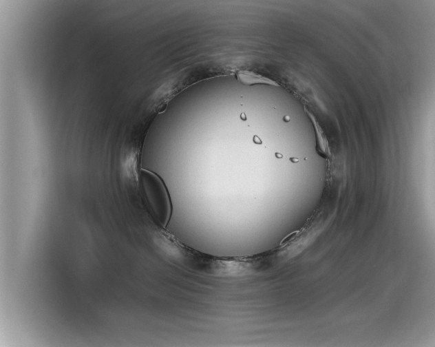 X0000115540286200911131550