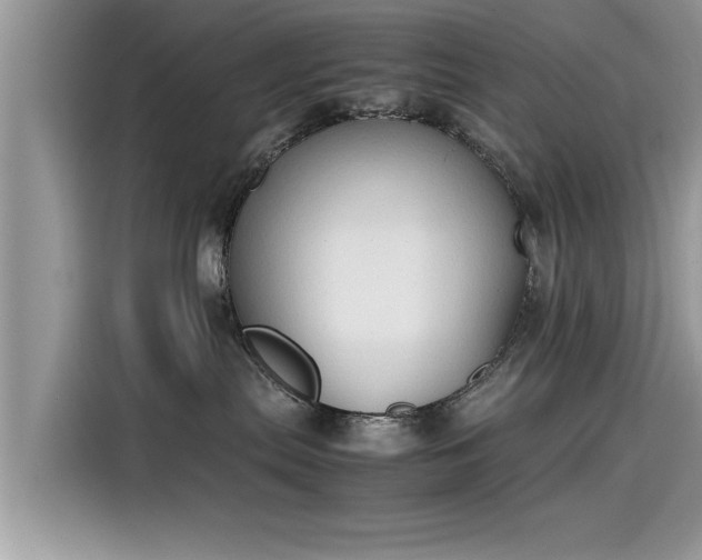 X0000115540287200911131550