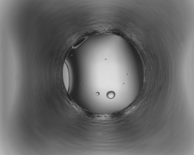 X0000115540288200911131550