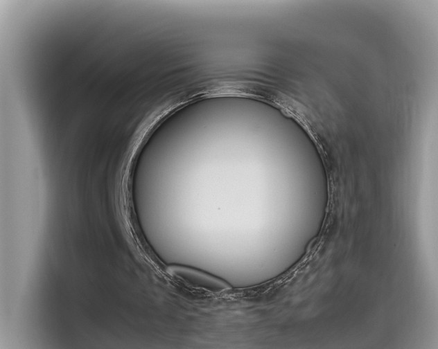 X0000115540289200911131550