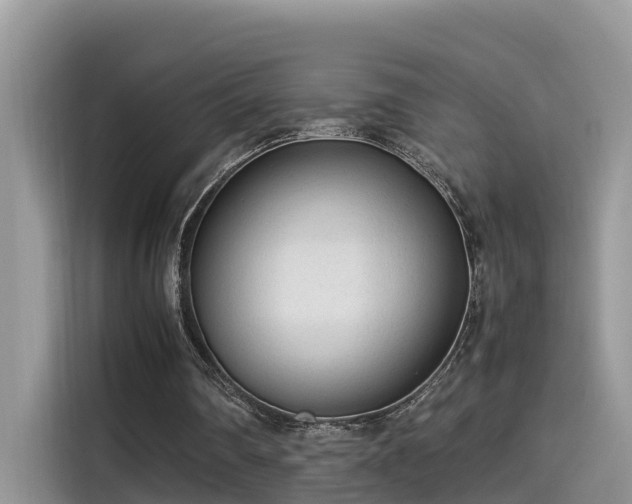 X0000115540290200911131550