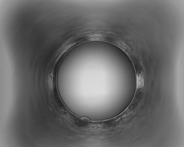 X0000115540291200911131550