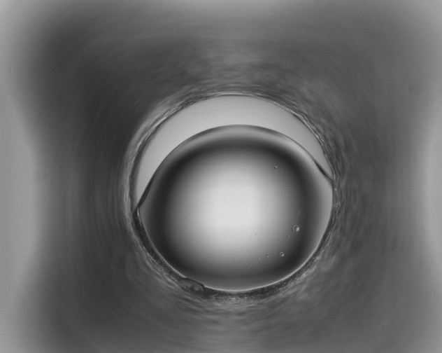 X0000115540293200911131550