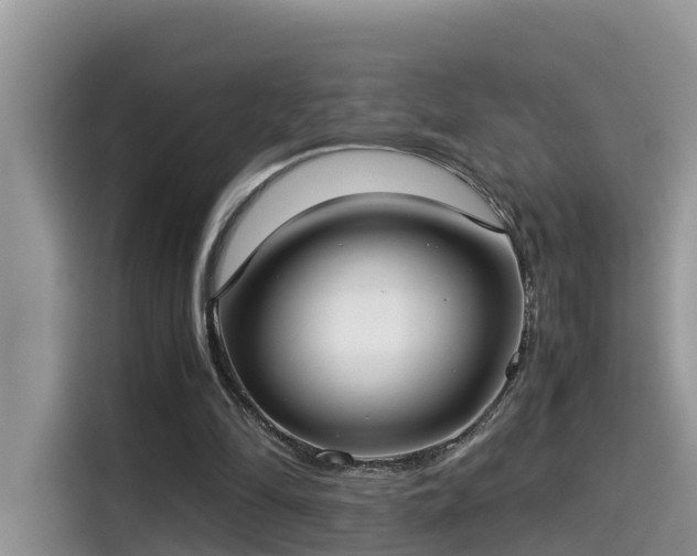 X0000115540294200911131549