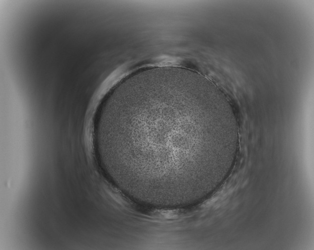 X0000115540295200911131549