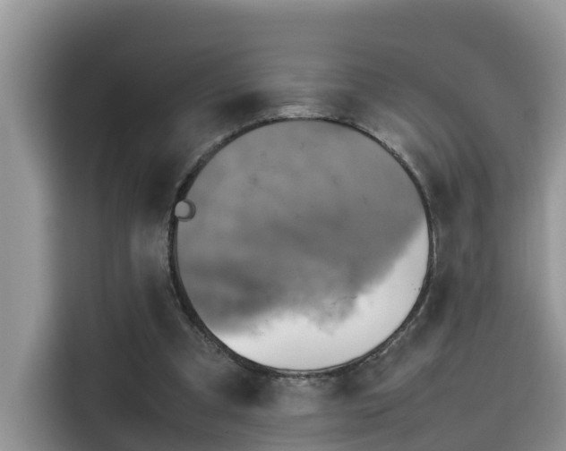 X0000115540297200911131549