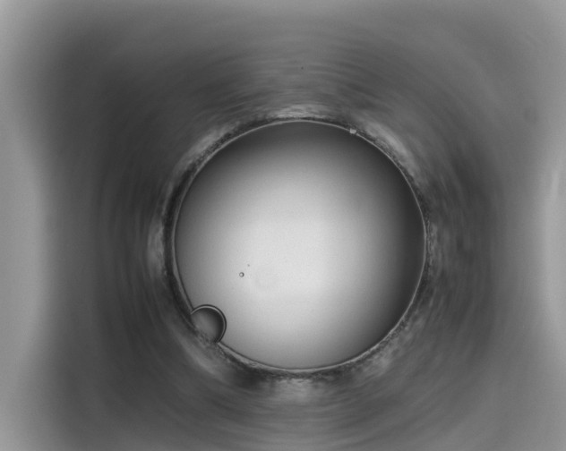 X0000115540298200911131549