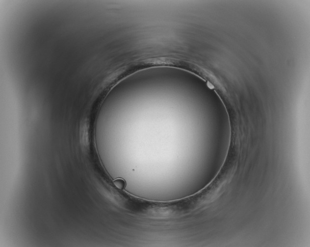 X0000115540299200911131549