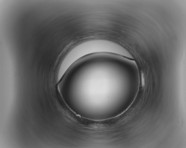 X0000115540300200911131549