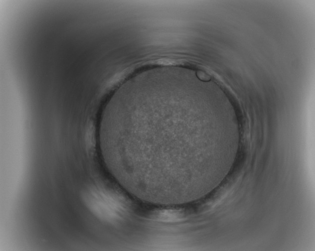 X0000115540303200911131549