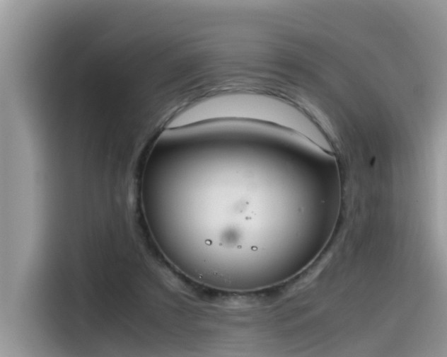 X0000115540305200911131549