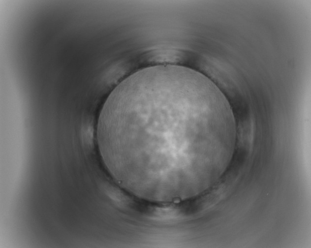 X0000115540309200911131549