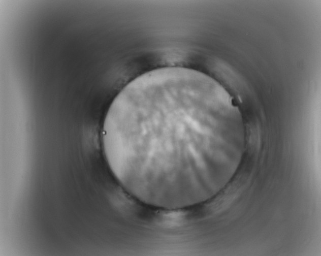 X0000115540313200911131549