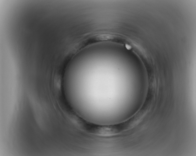 X0000115540315200911131549