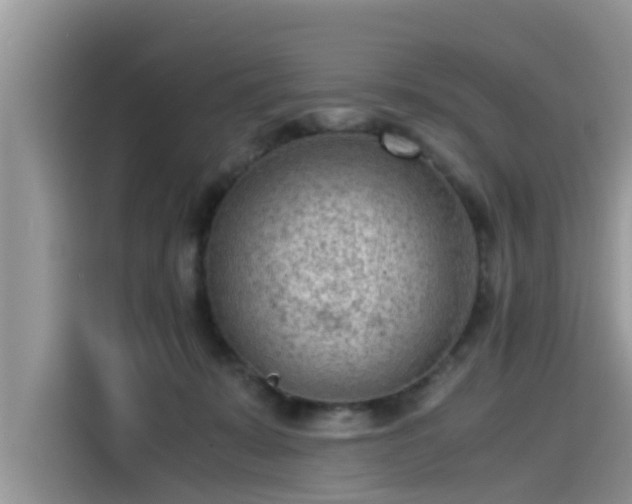 X0000115540319200911131549