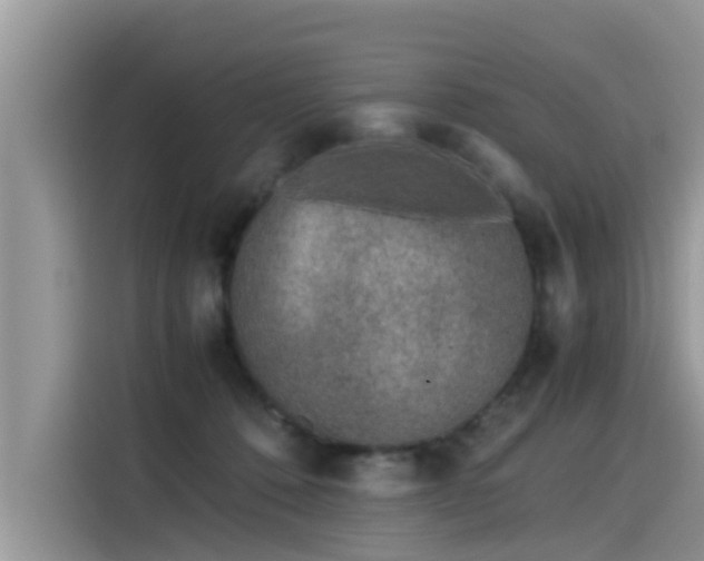 X0000115540320200911131549