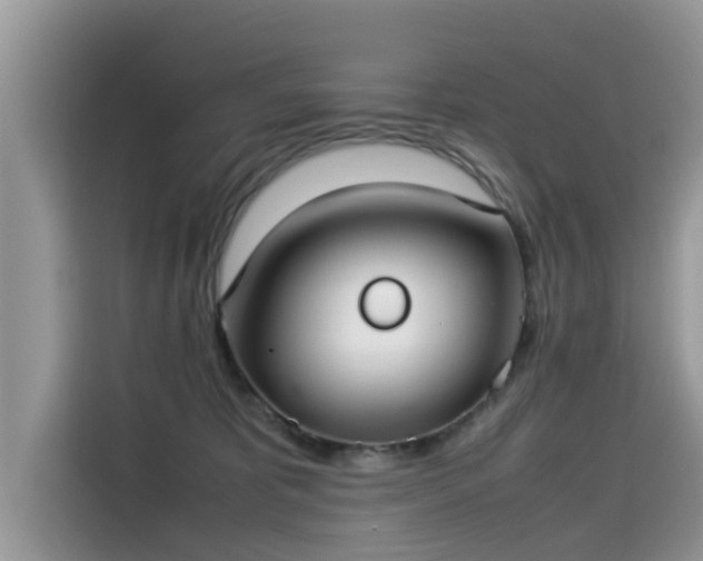 X0000115540325200911131549