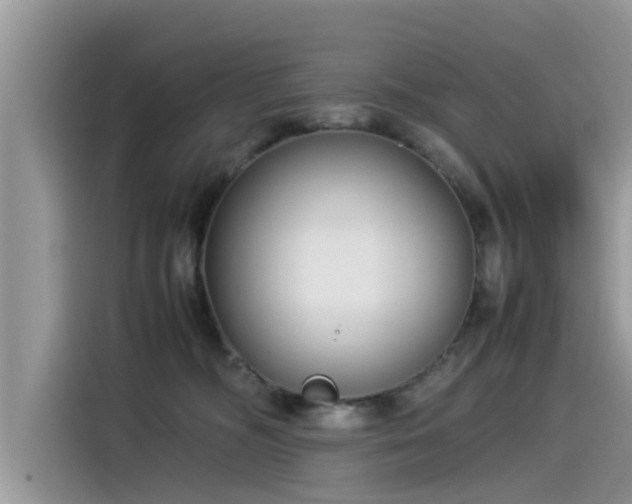 X0000115540326200911131549