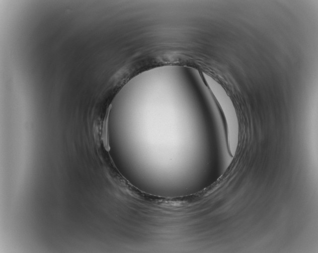 X0000115540332200911131549