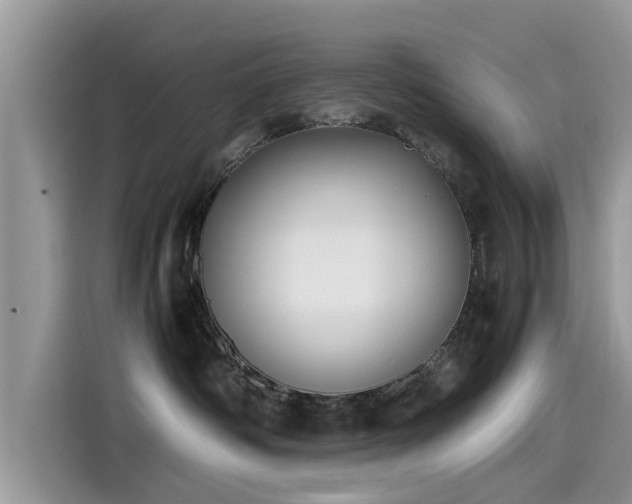 X0000115540334200911131549