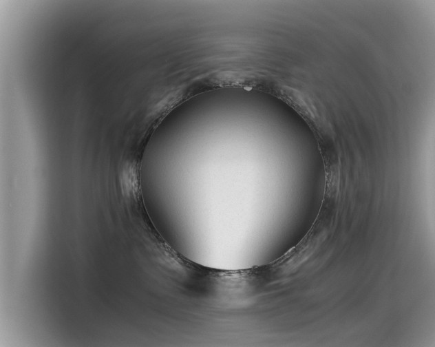 X0000115540335200911131549