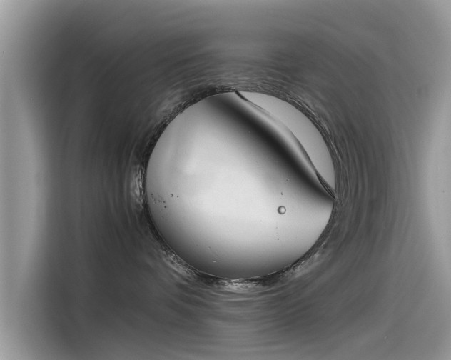 X0000115540336200911131549