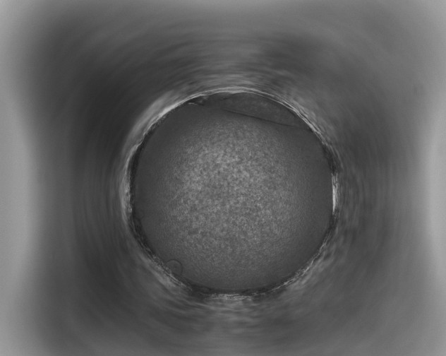 X0000115540339200911131548