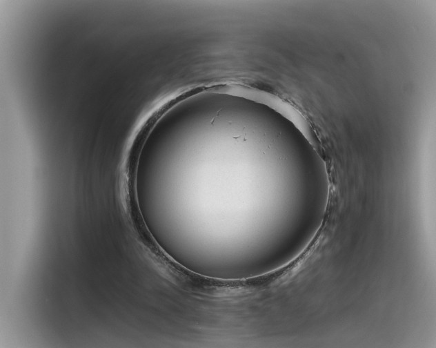 X0000115540342200911131548