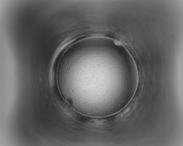 X0000115540343200911131548