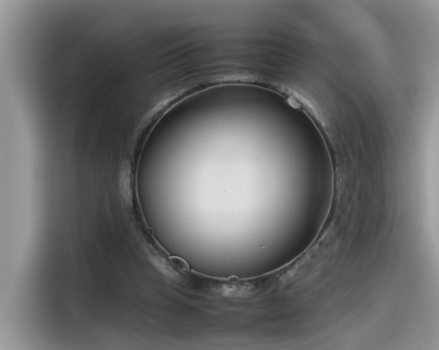 X0000115540345200911131548