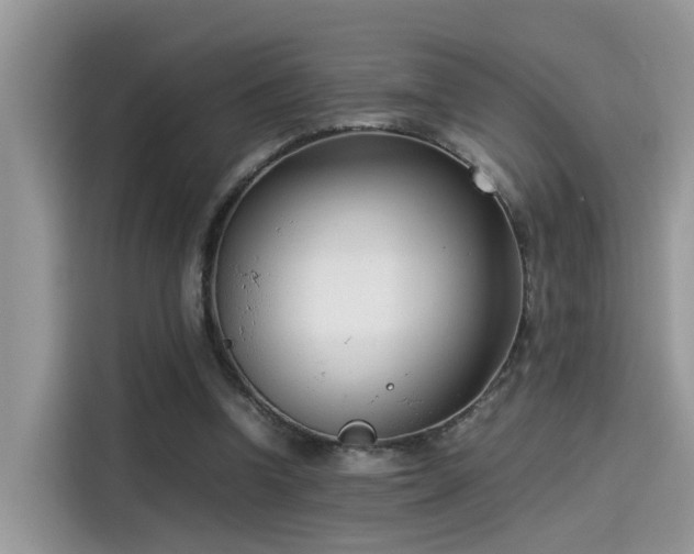 X0000115540346200911131548