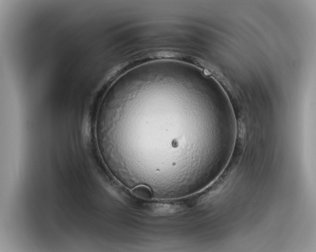 X0000115540347200911131548