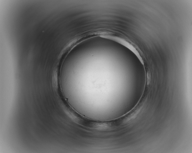 X0000115540349200911131548