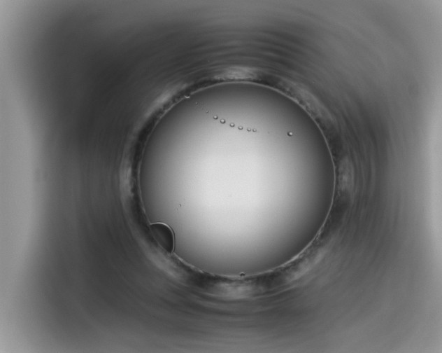 X0000115540351200911131548