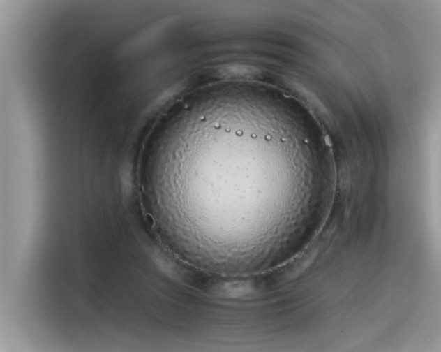 X0000115540353200911131549