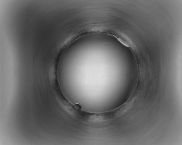 X0000115540354200911131549