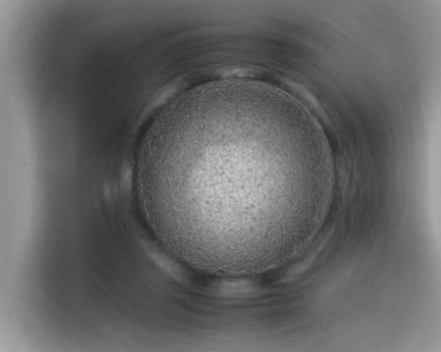 X0000115540357200911131549