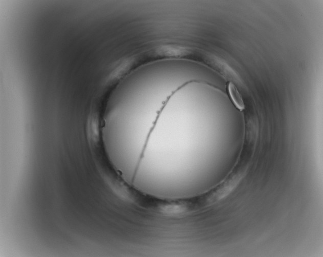 X0000115540358200911131549